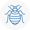 Bed Bug Extermination In Ollerton
