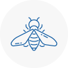 Bee Nest Removal Ollerton