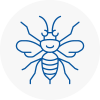Ollerton Hornet Nest Removals