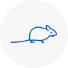 Mice Exterminators In Ollerton