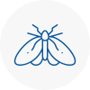 Moth Control Specialists In Ollerton