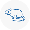 Rat Control Ollerton