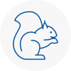 Ollerton Rodent Removals